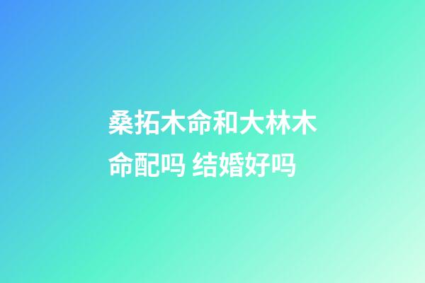 桑拓木命和大林木命配吗 结婚好吗